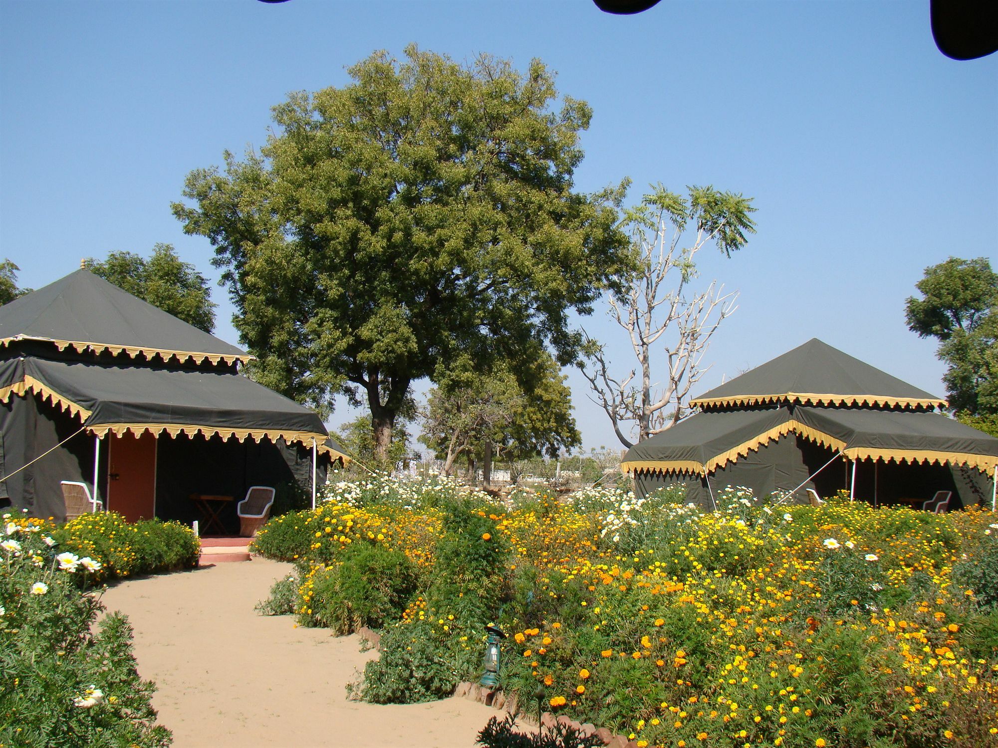 Orchard Tents & Tranquility Pushkar Exterior foto