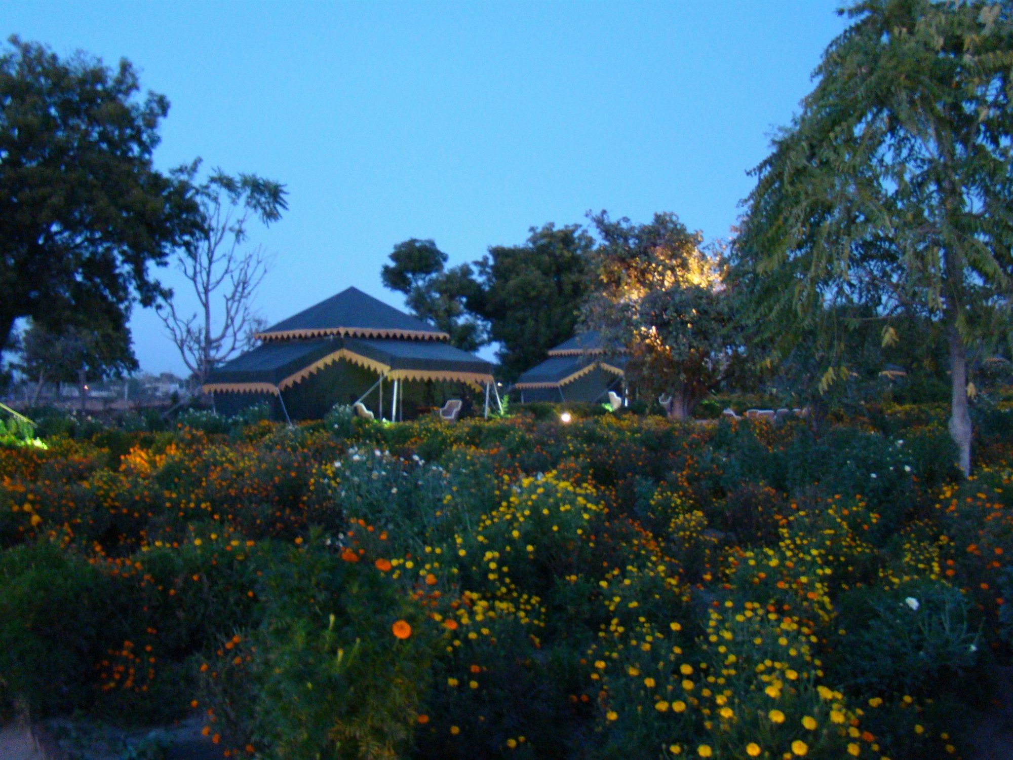 Orchard Tents & Tranquility Pushkar Exterior foto