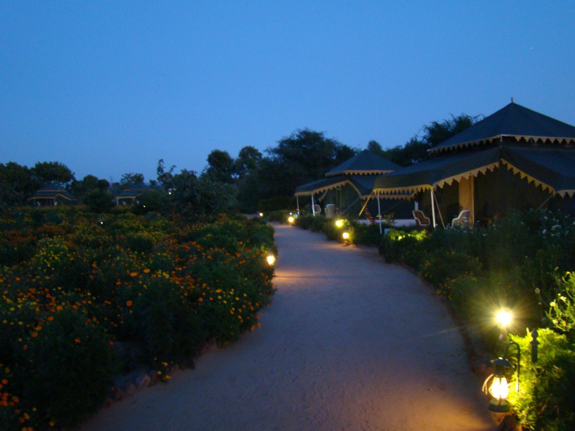 Orchard Tents & Tranquility Pushkar Exterior foto