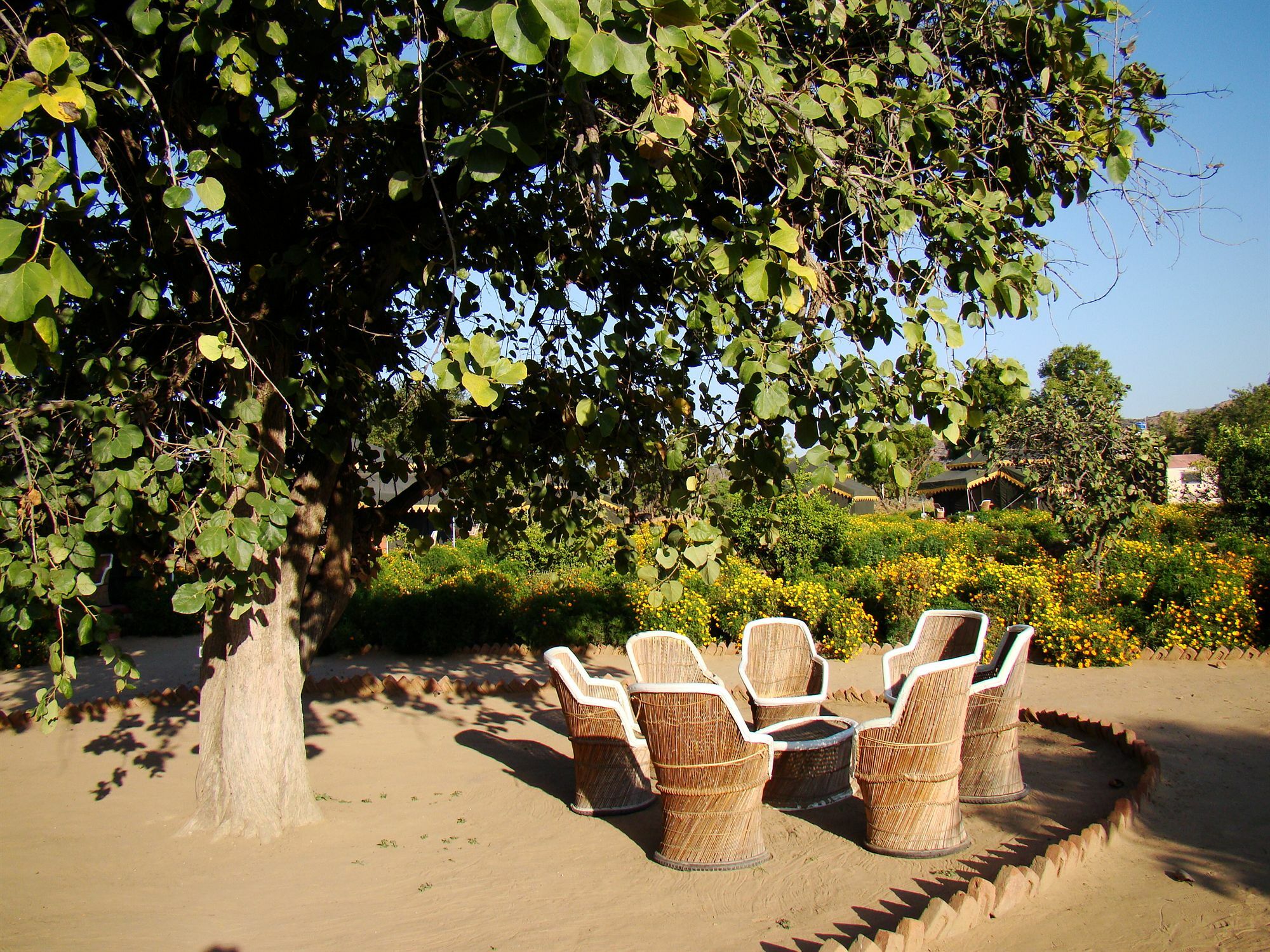 Orchard Tents & Tranquility Pushkar Exterior foto
