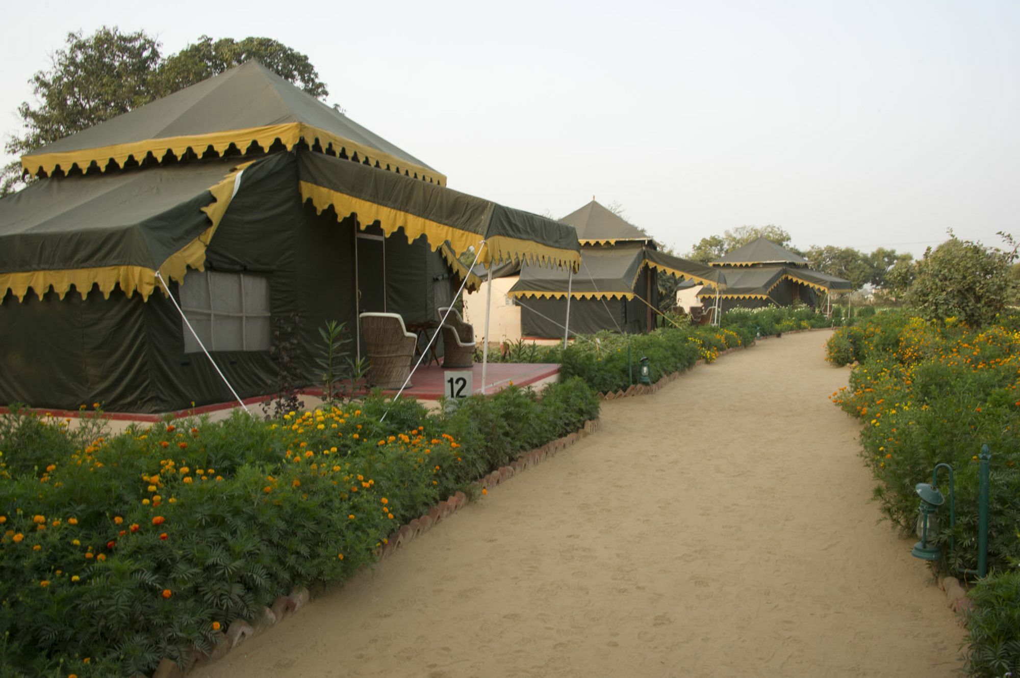 Orchard Tents & Tranquility Pushkar Exterior foto