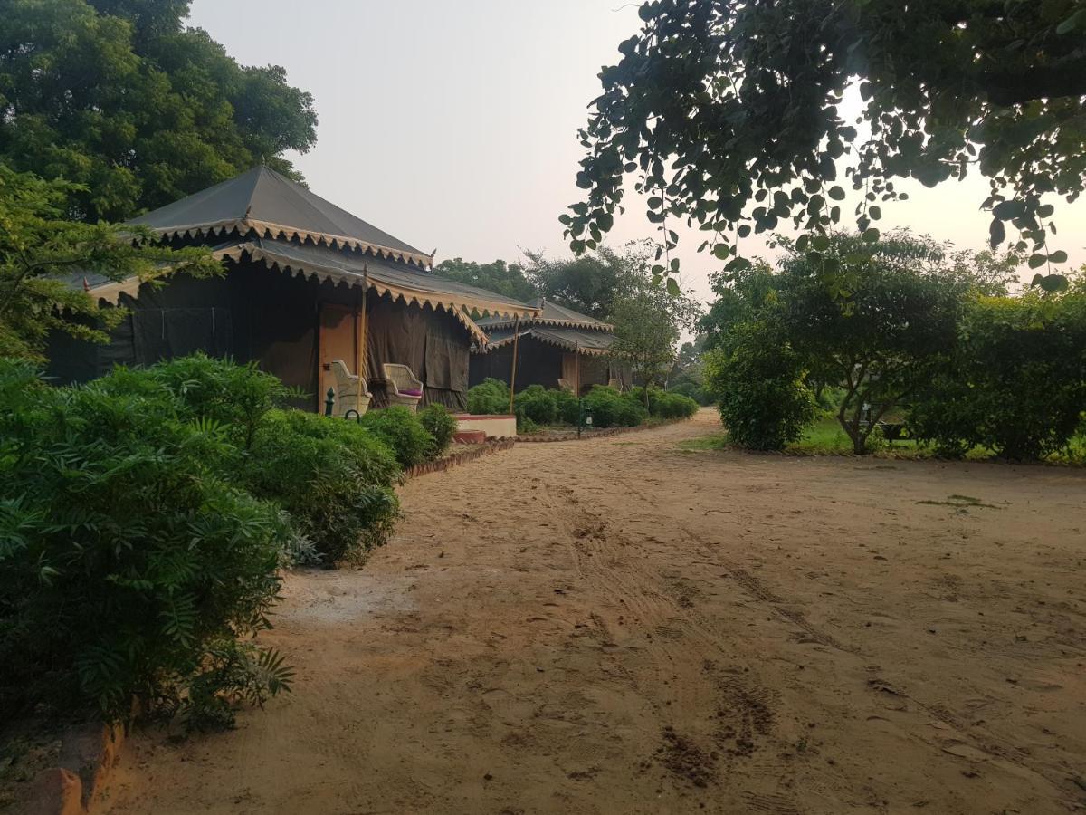 Orchard Tents & Tranquility Pushkar Exterior foto