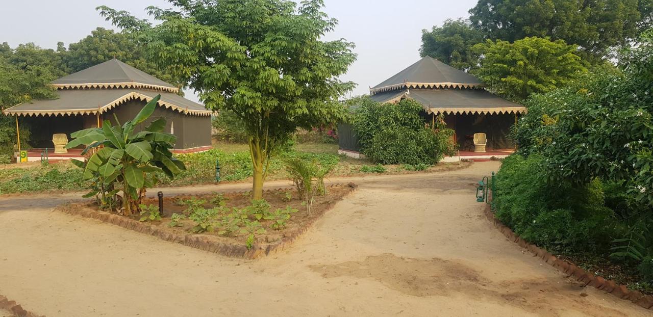 Orchard Tents & Tranquility Pushkar Exterior foto