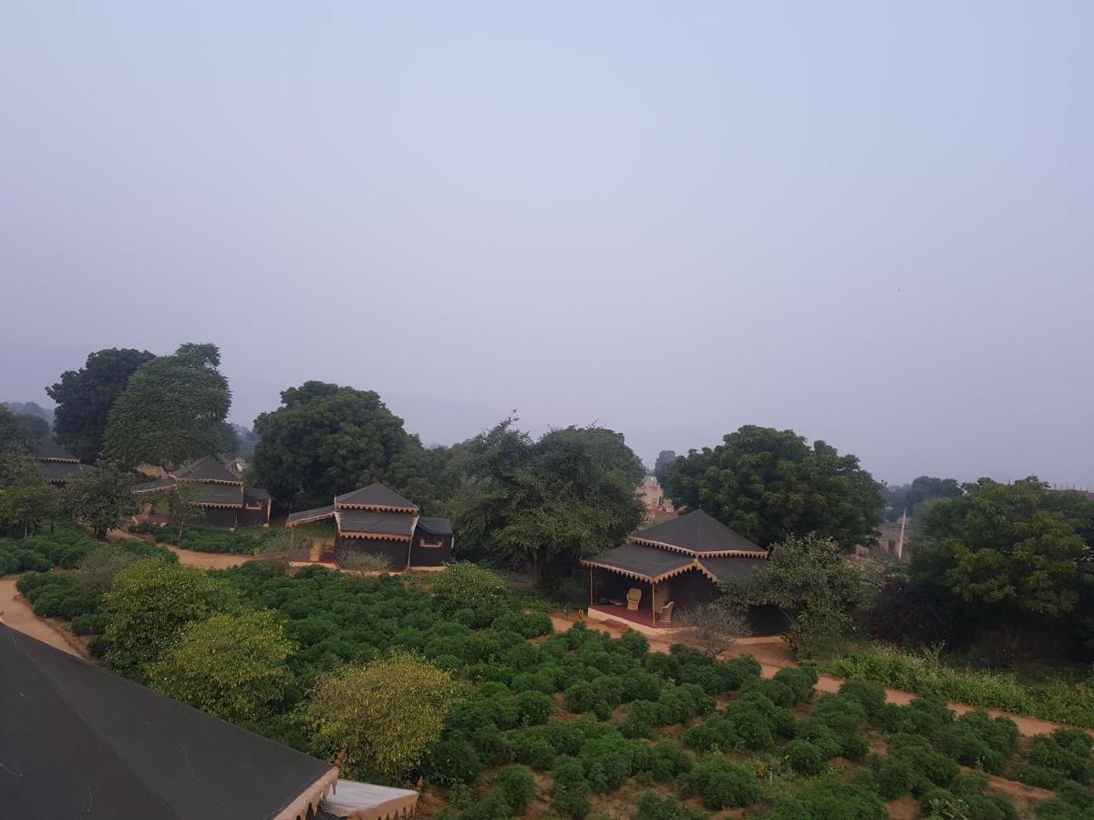 Orchard Tents & Tranquility Pushkar Exterior foto