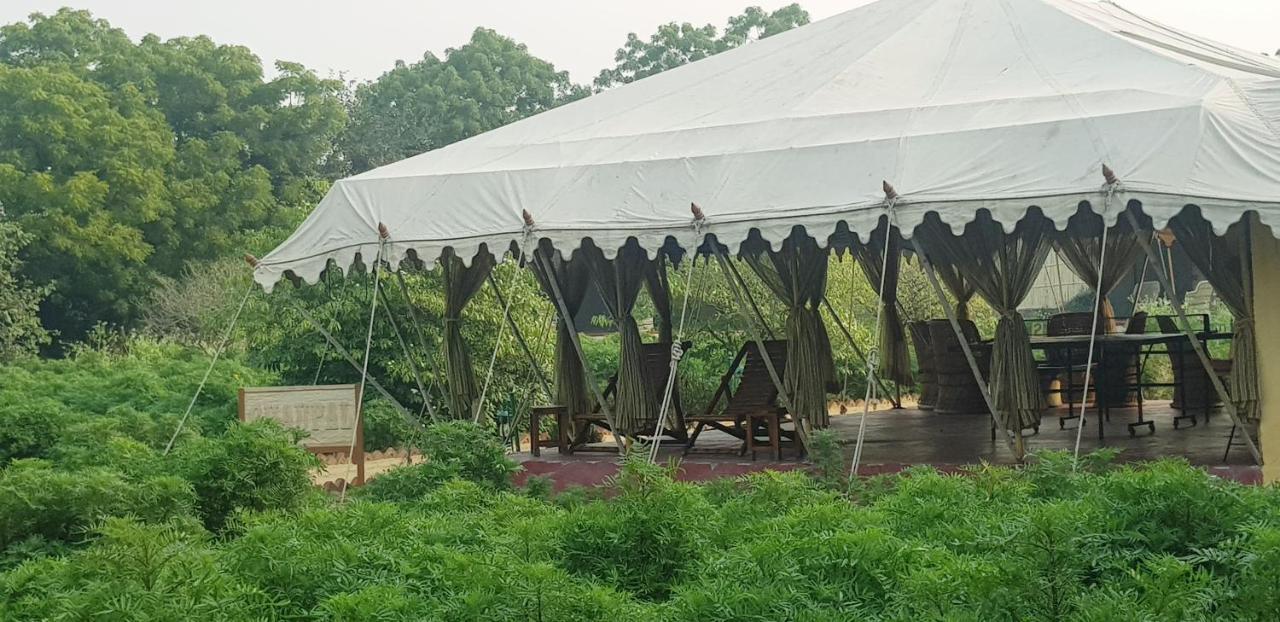 Orchard Tents & Tranquility Pushkar Exterior foto