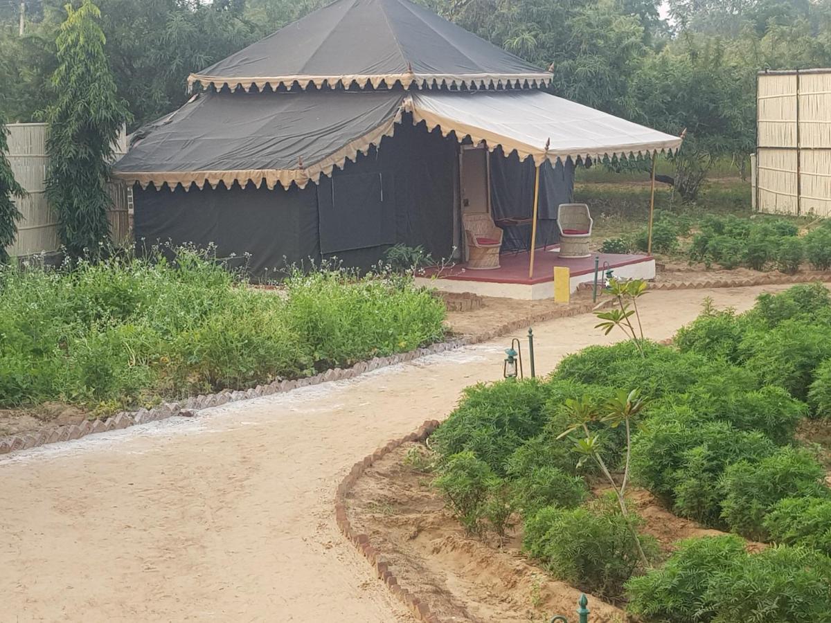 Orchard Tents & Tranquility Pushkar Exterior foto