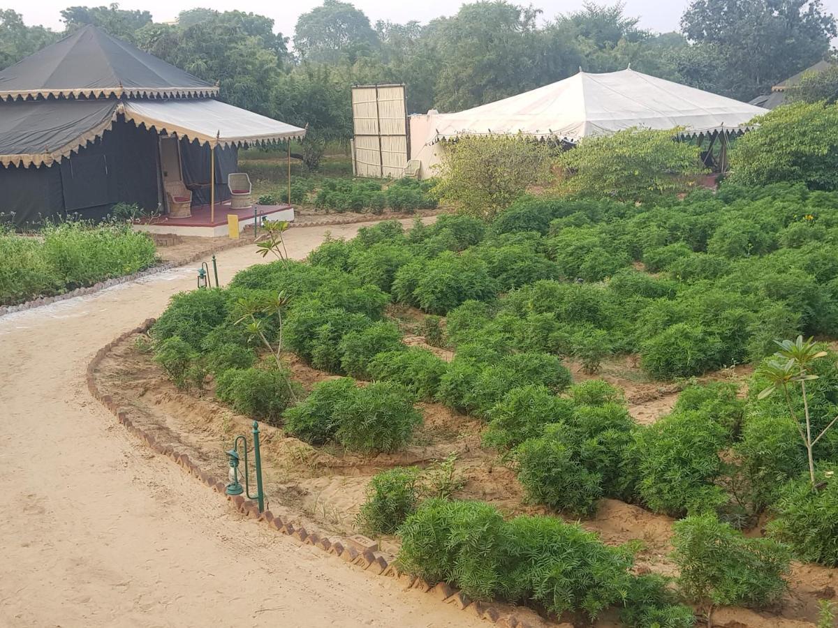 Orchard Tents & Tranquility Pushkar Exterior foto
