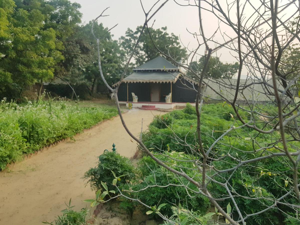 Orchard Tents & Tranquility Pushkar Exterior foto