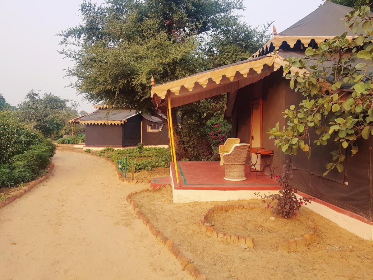 Orchard Tents & Tranquility Pushkar Exterior foto