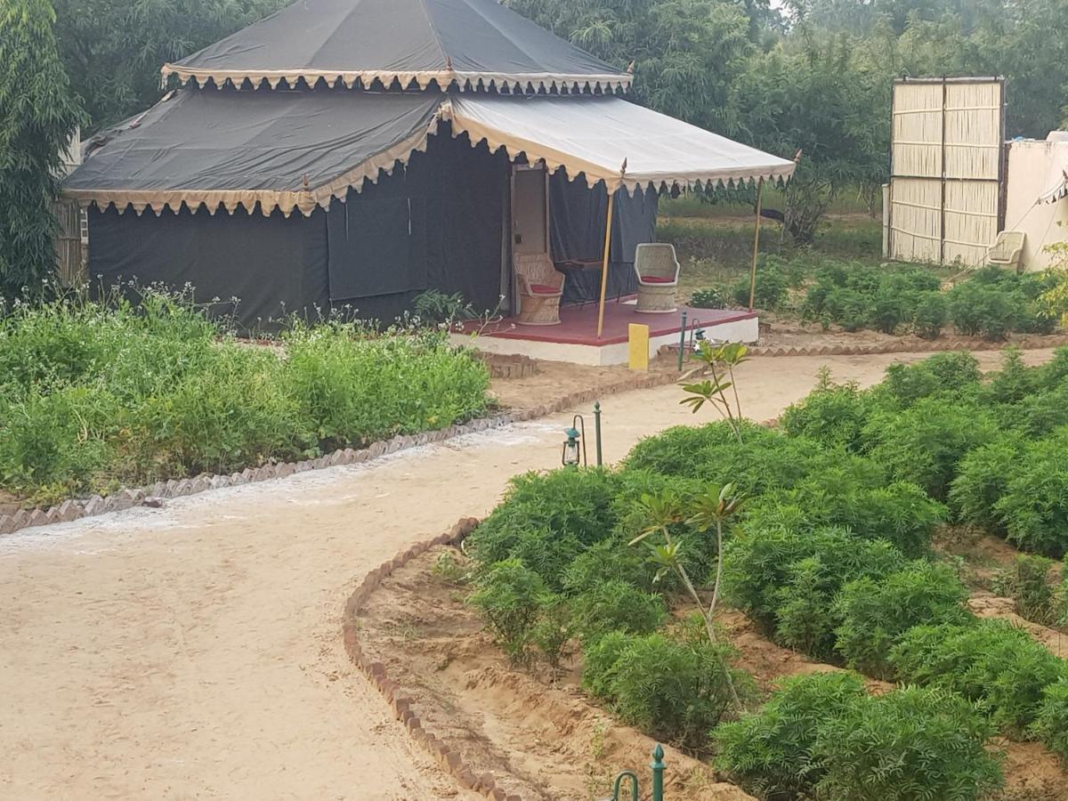 Orchard Tents & Tranquility Pushkar Exterior foto