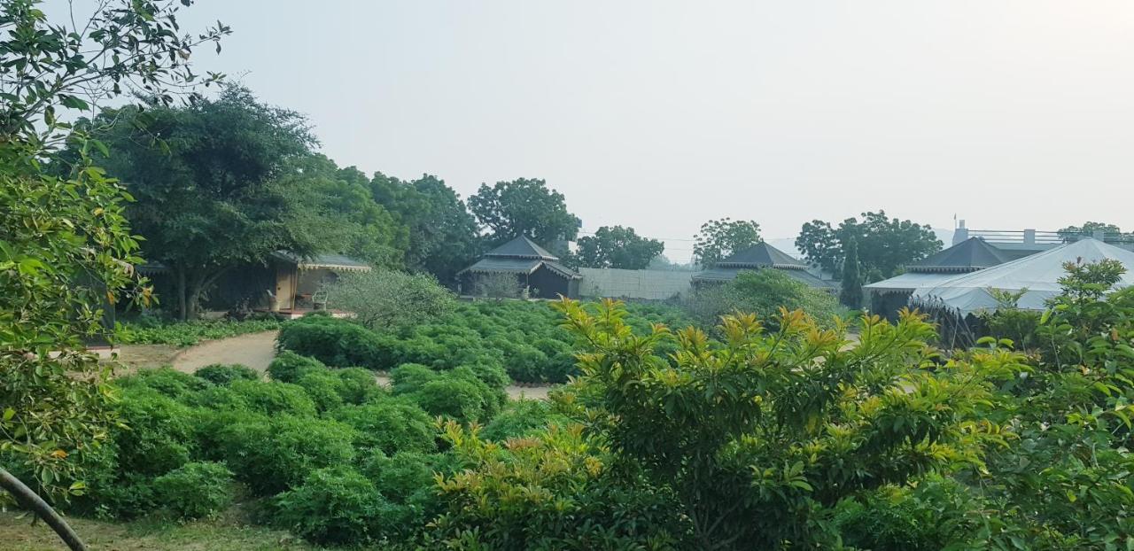 Orchard Tents & Tranquility Pushkar Exterior foto