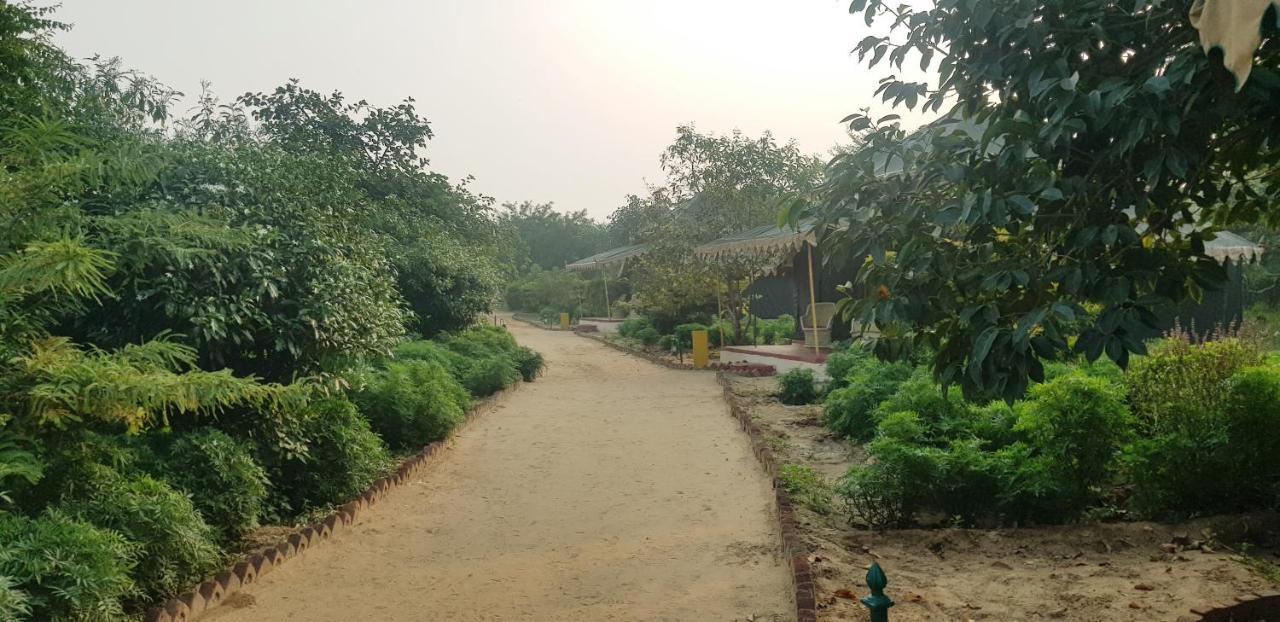 Orchard Tents & Tranquility Pushkar Exterior foto