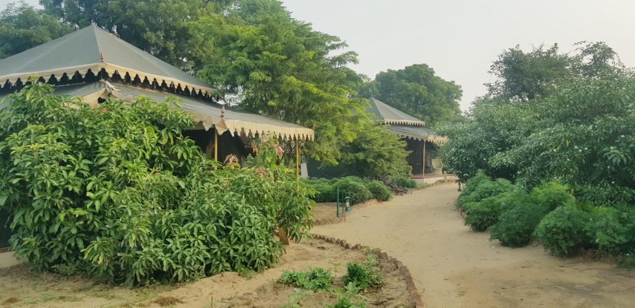 Orchard Tents & Tranquility Pushkar Exterior foto