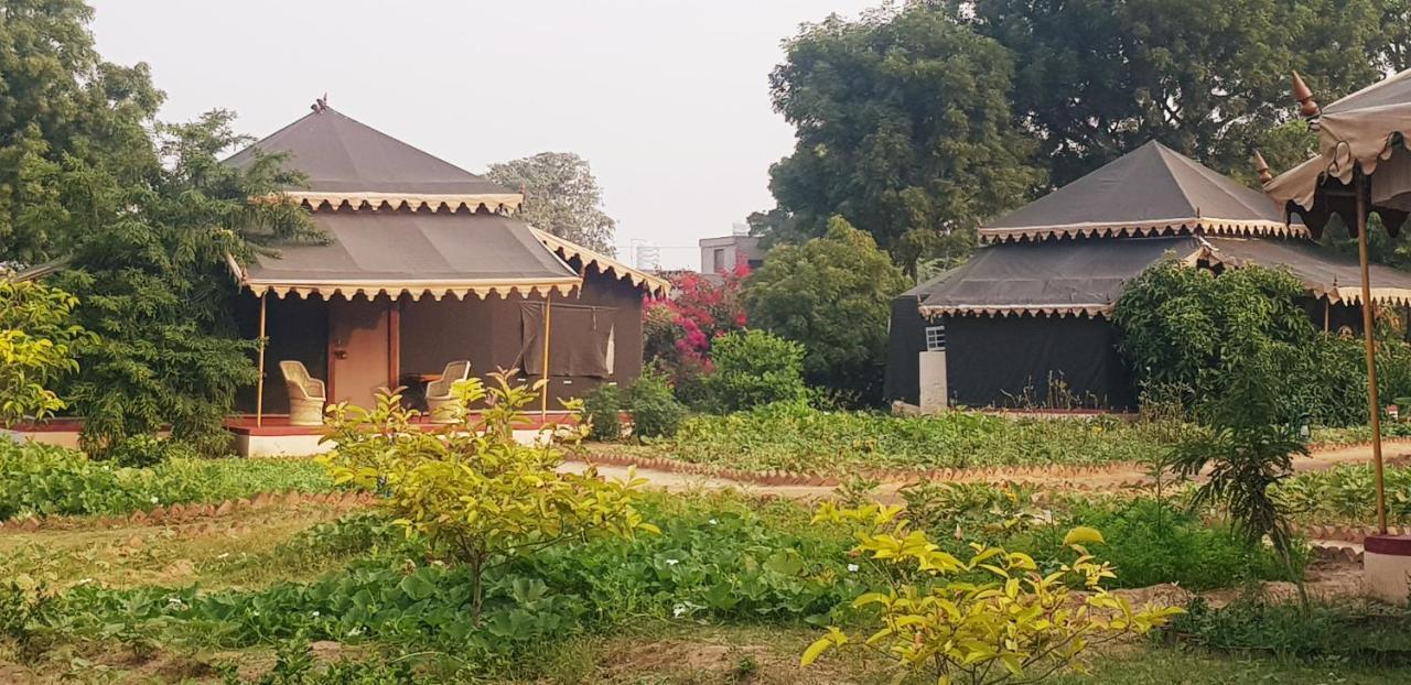 Orchard Tents & Tranquility Pushkar Exterior foto