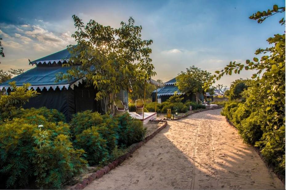 Orchard Tents & Tranquility Pushkar Exterior foto